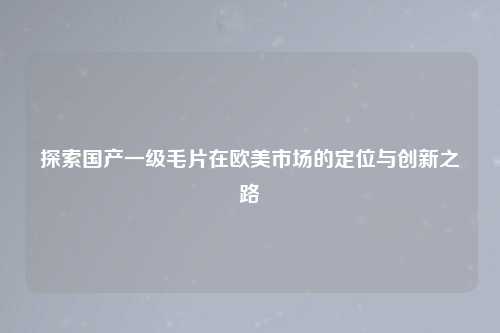 探索国产一级毛片在欧美市场的定位与创新之路
